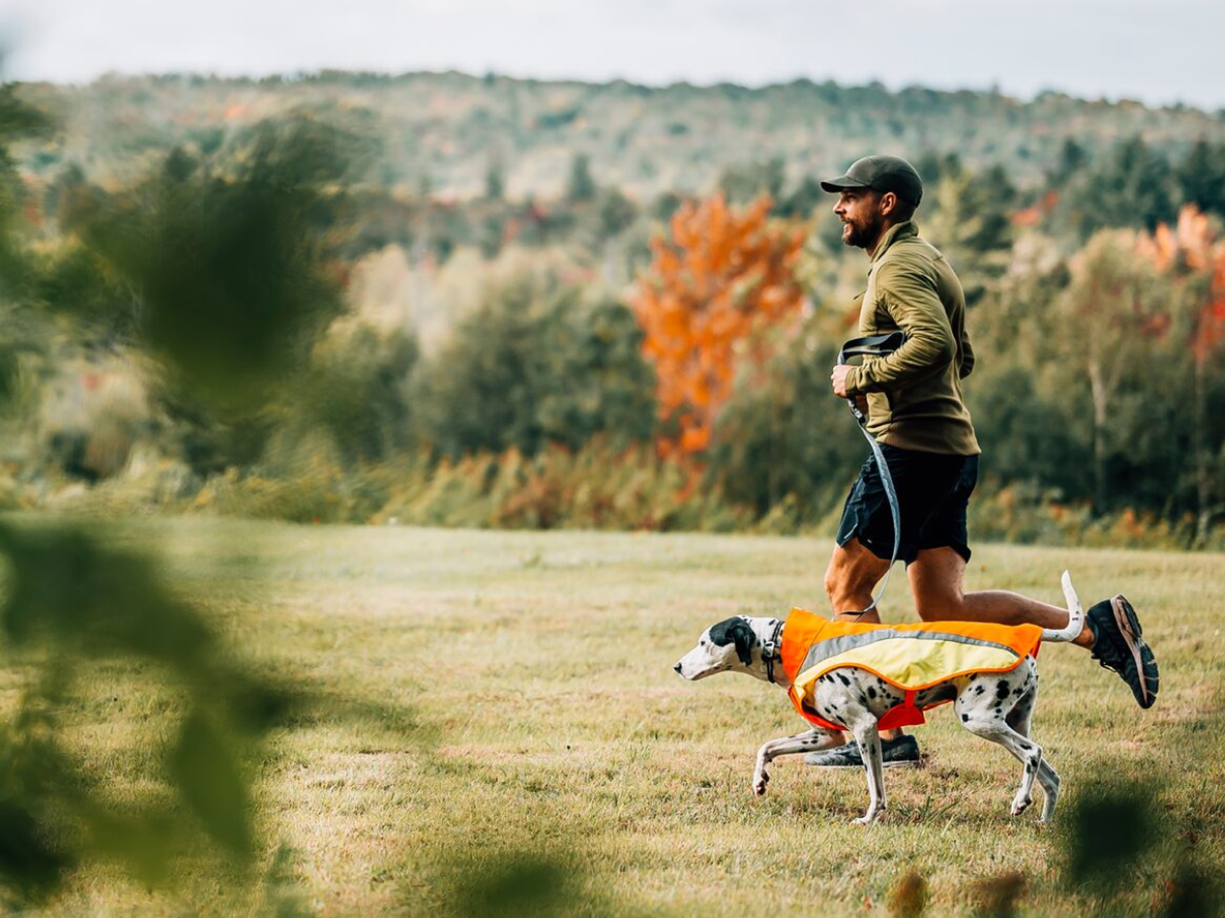 Signalprodukter från Ruffwear
