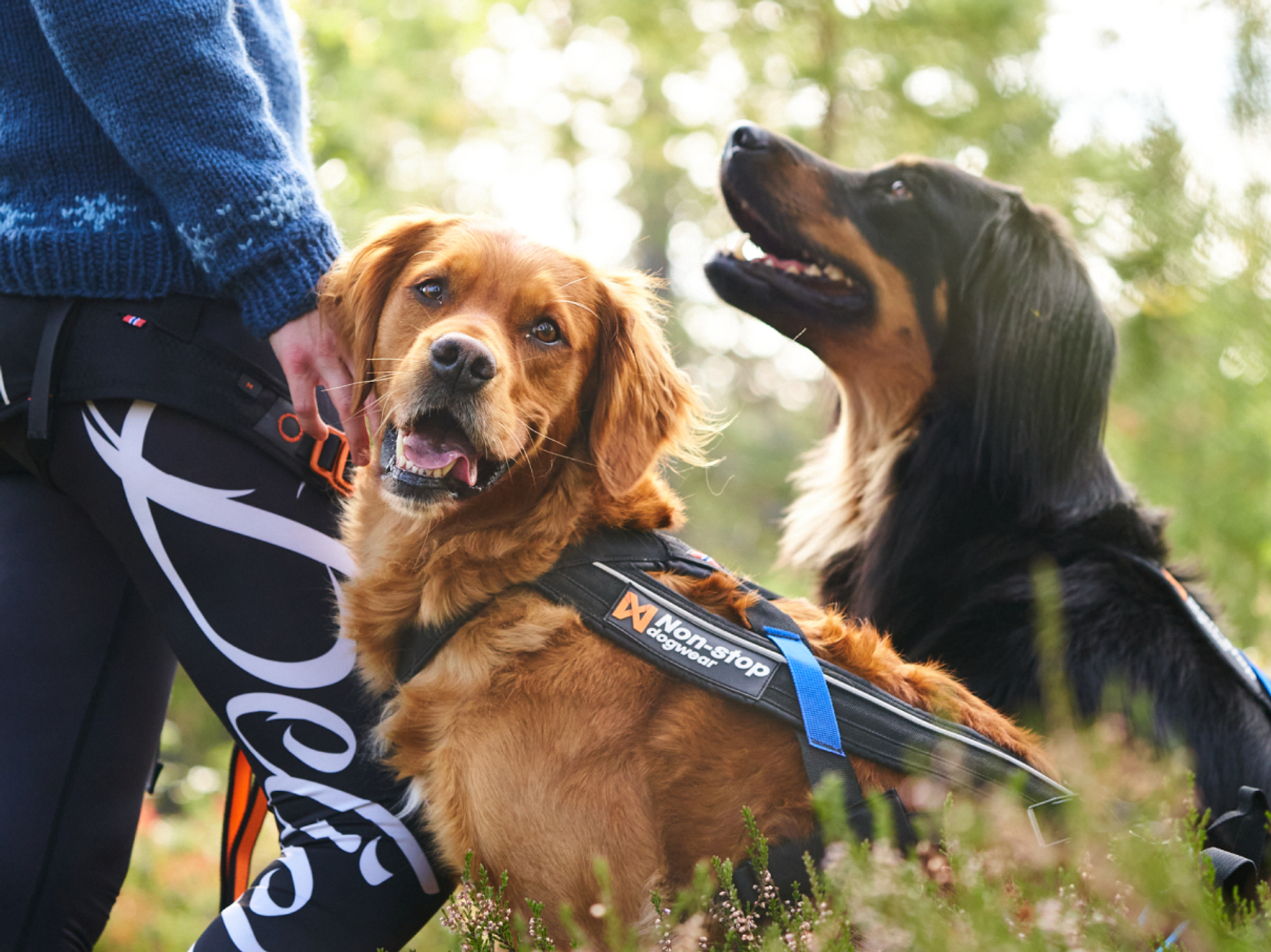 Hund och ägare glada