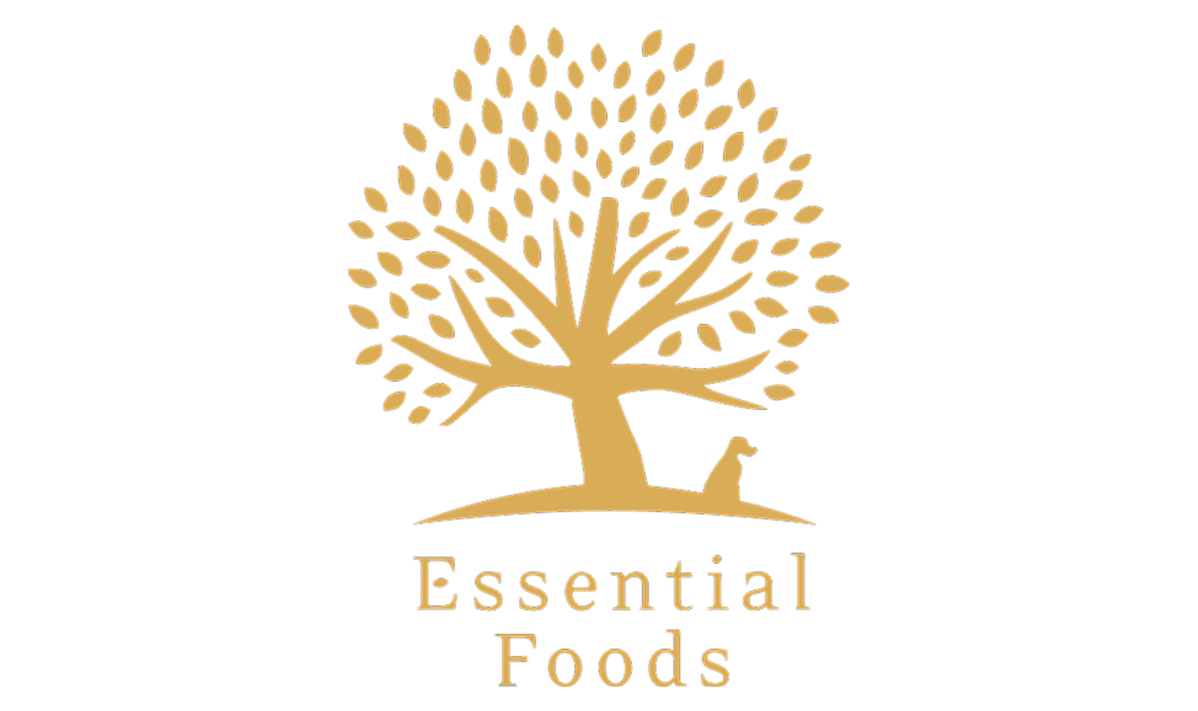 ESSENTIAL FOODS logo