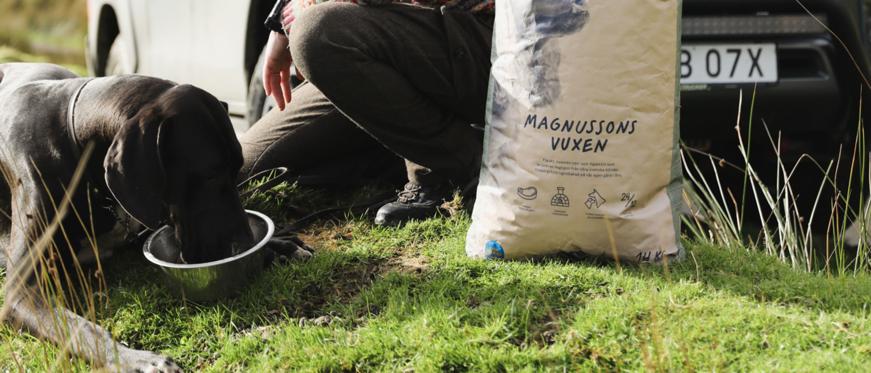 magnusson petfood