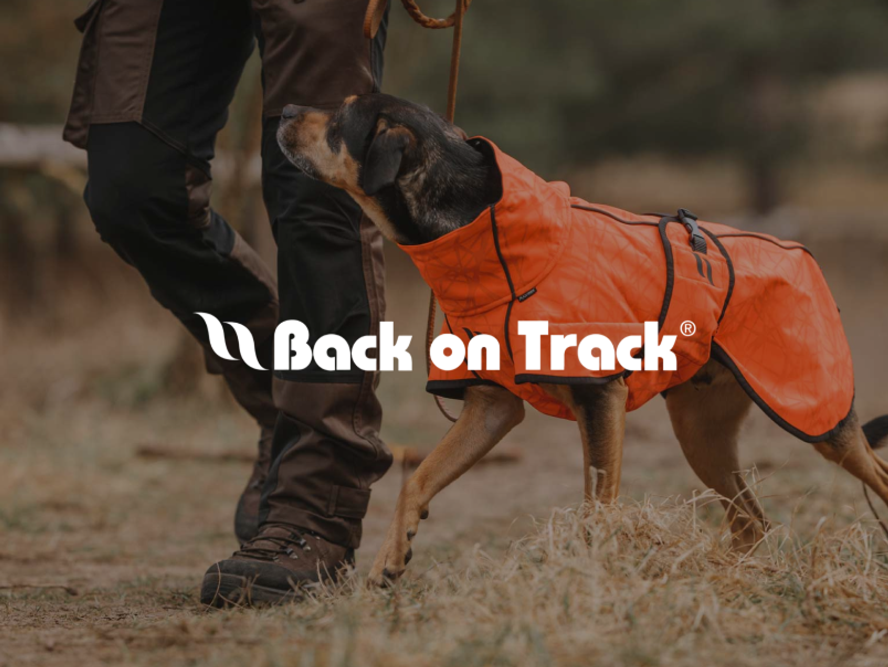 Back on track Mobile