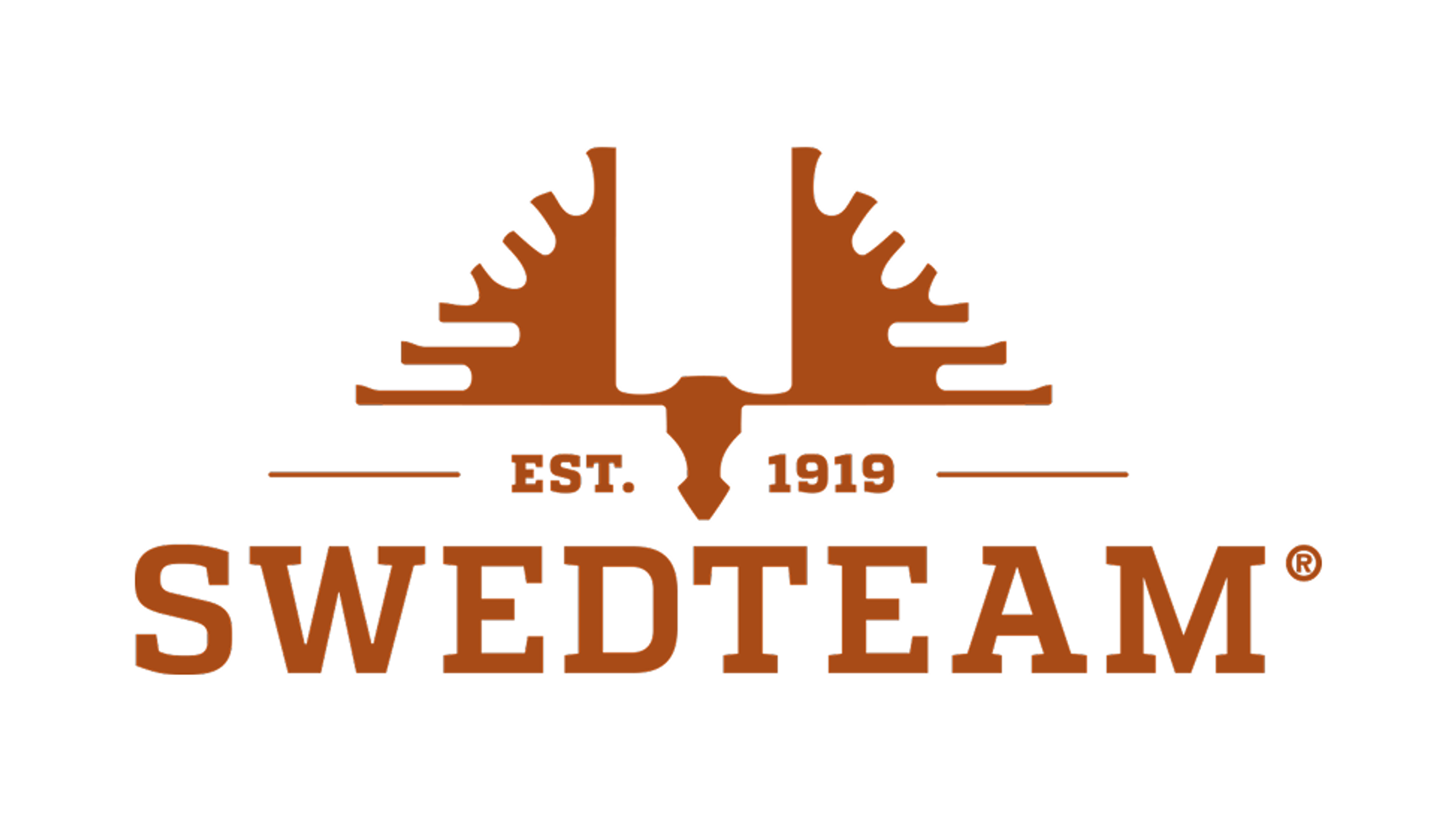 swedteam logo