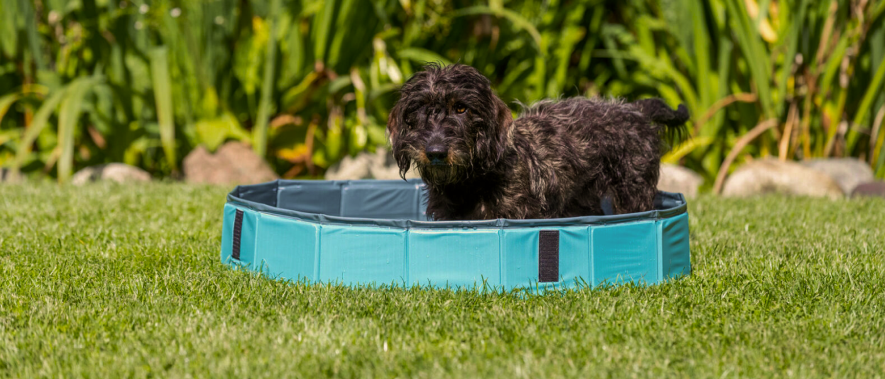 Hundpool