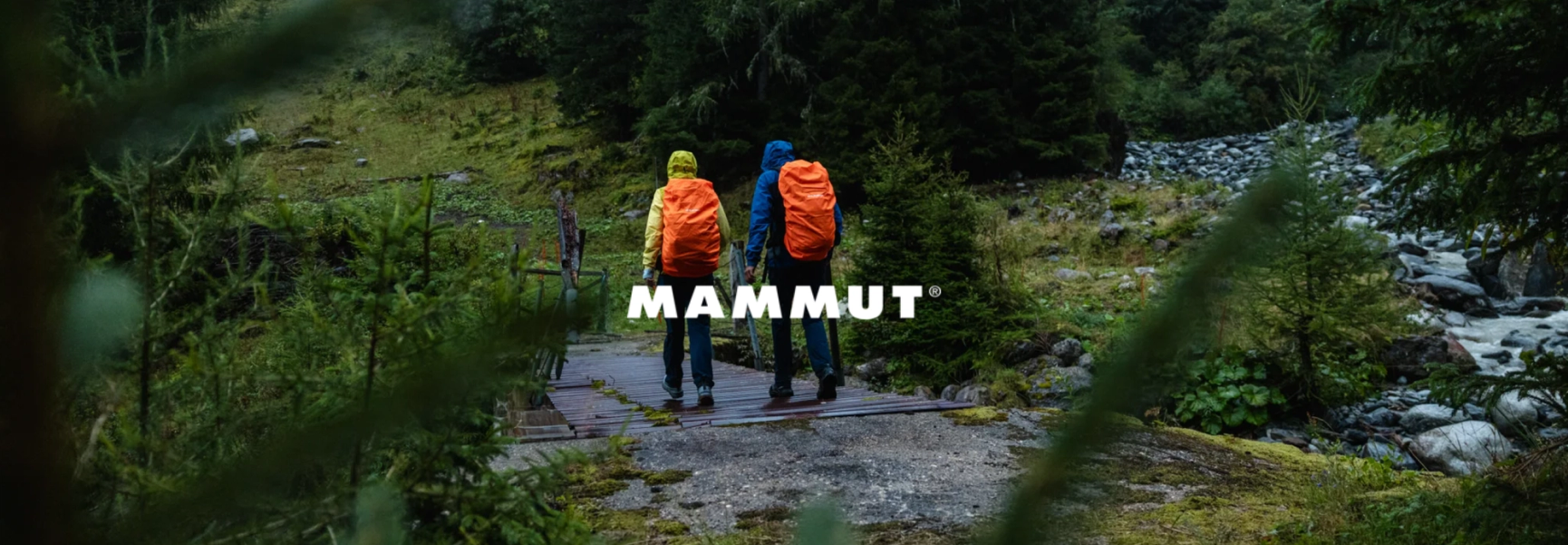 Mammut