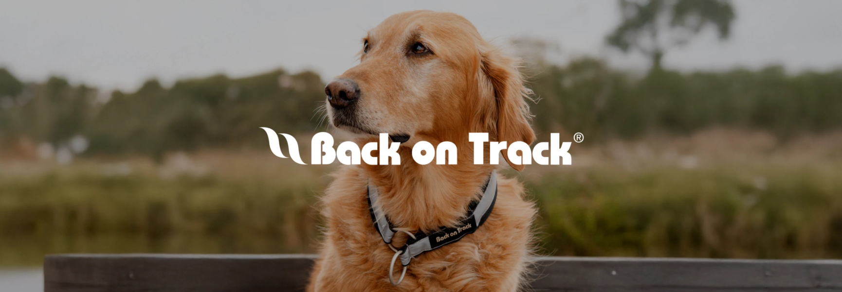 Back on track Hero