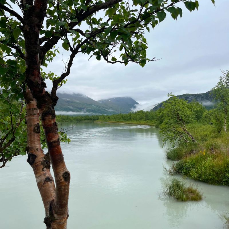 Beskriv bild 5