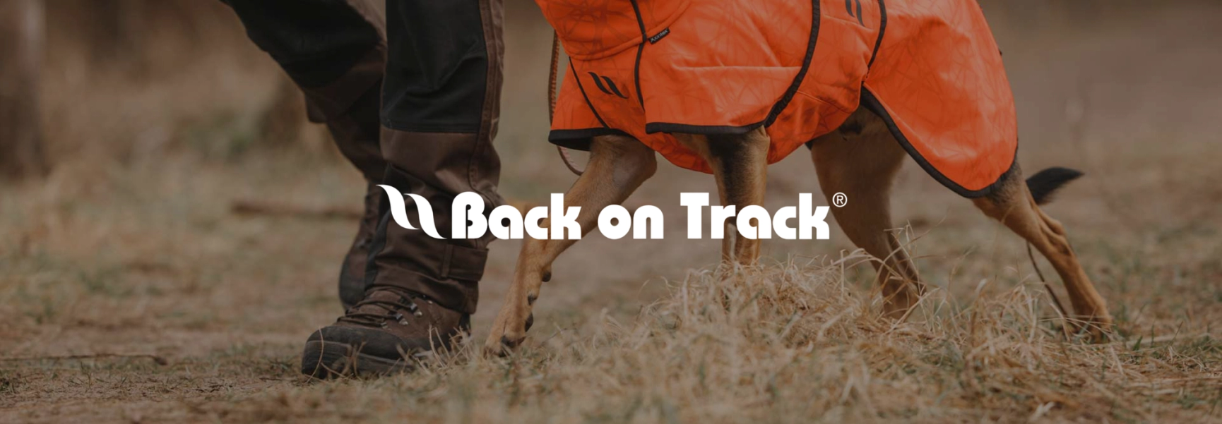 Back on track Hero