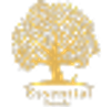 ESSENTIAL FOODS logo