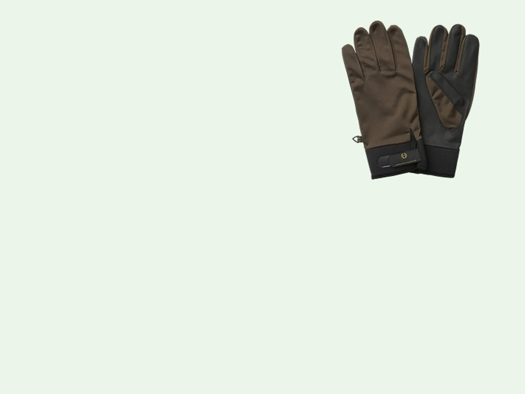 Chevalier gloves