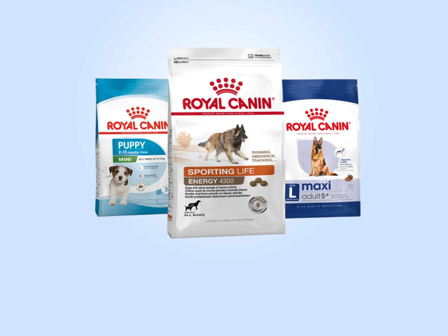 royal canin