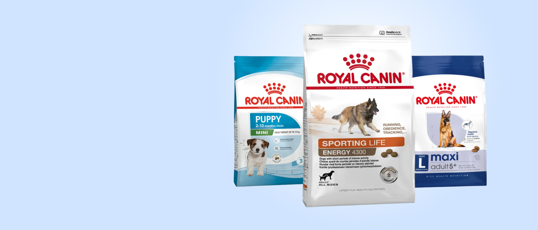 royal canin