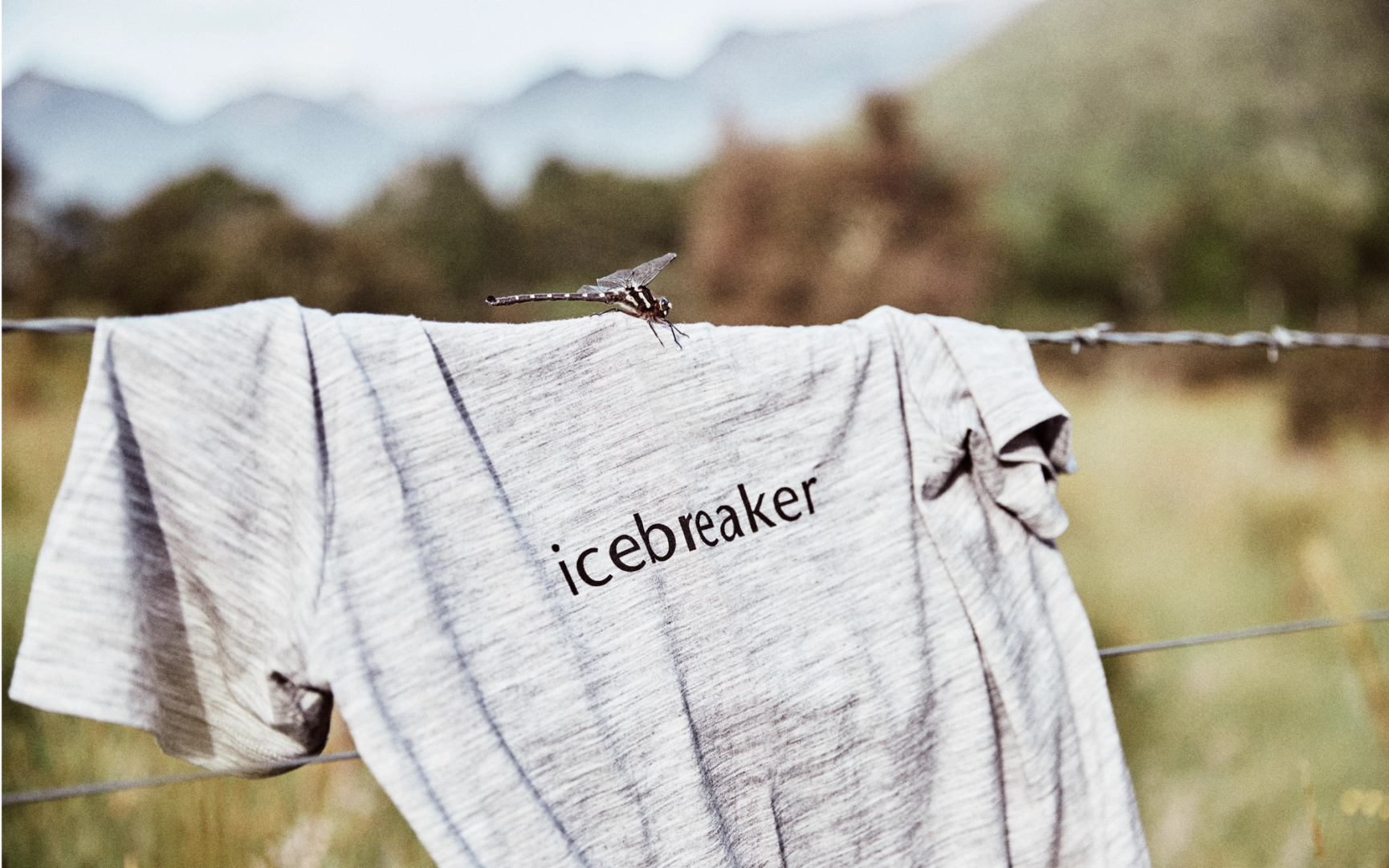 Icebreaker T-shirt