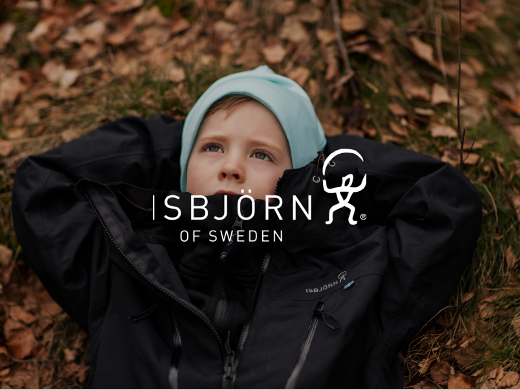 Isbjörn