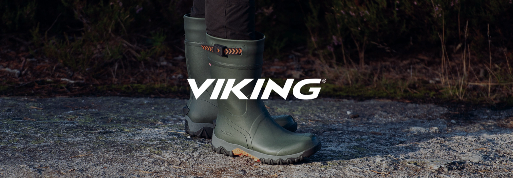 Viking