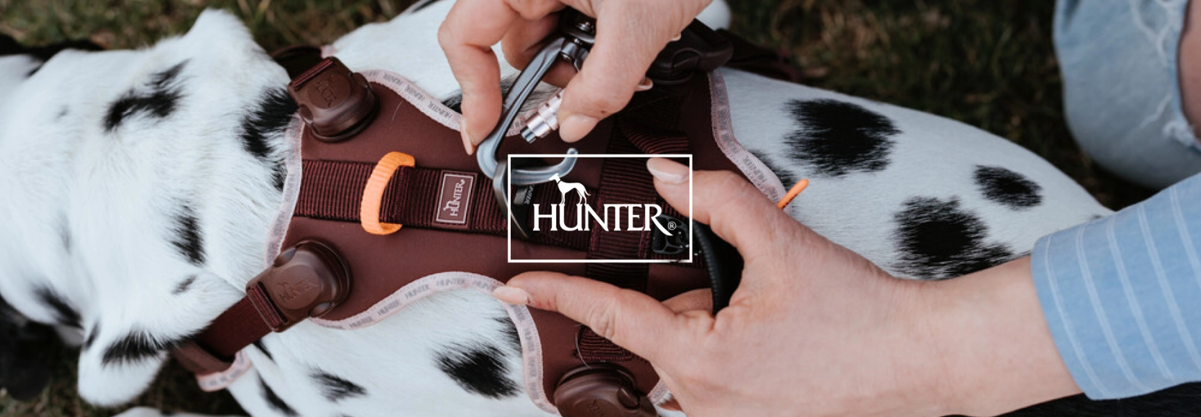 HUNTER