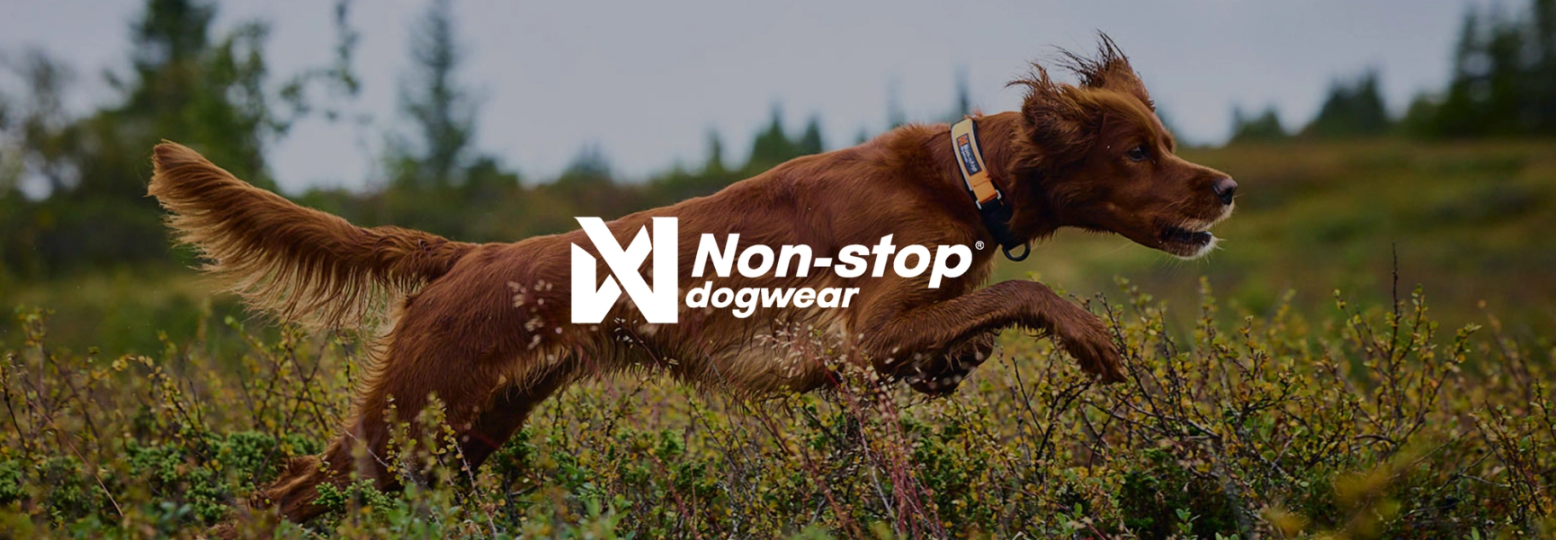 Non-Stop Dogwear