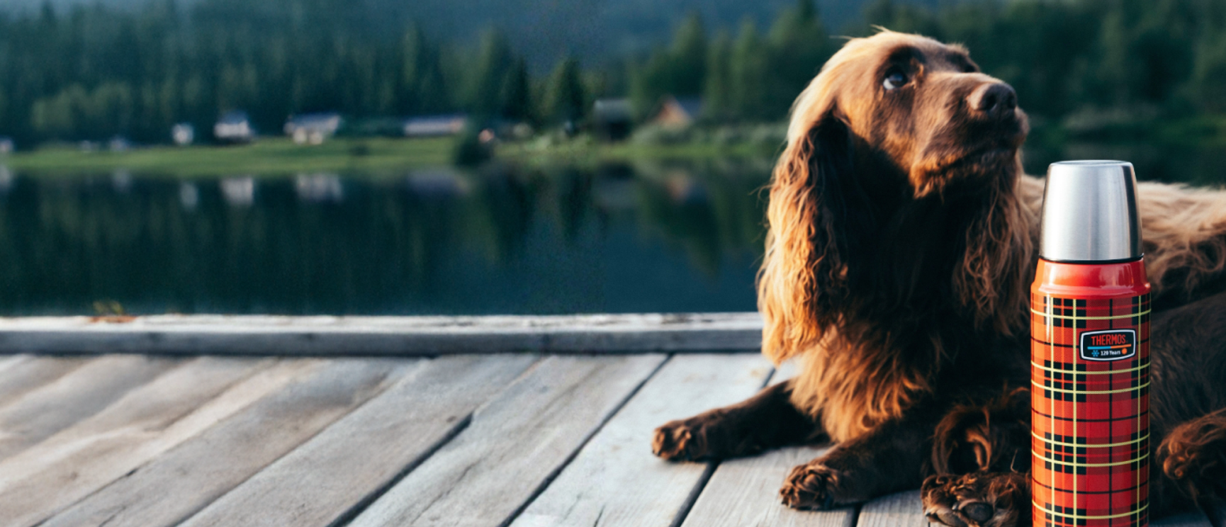 Hund med thermos