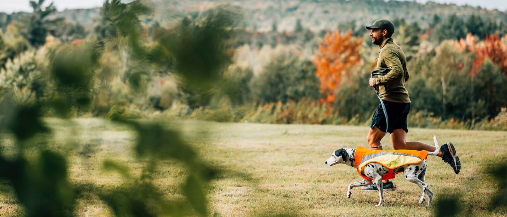 Signalprodukter från Ruffwear