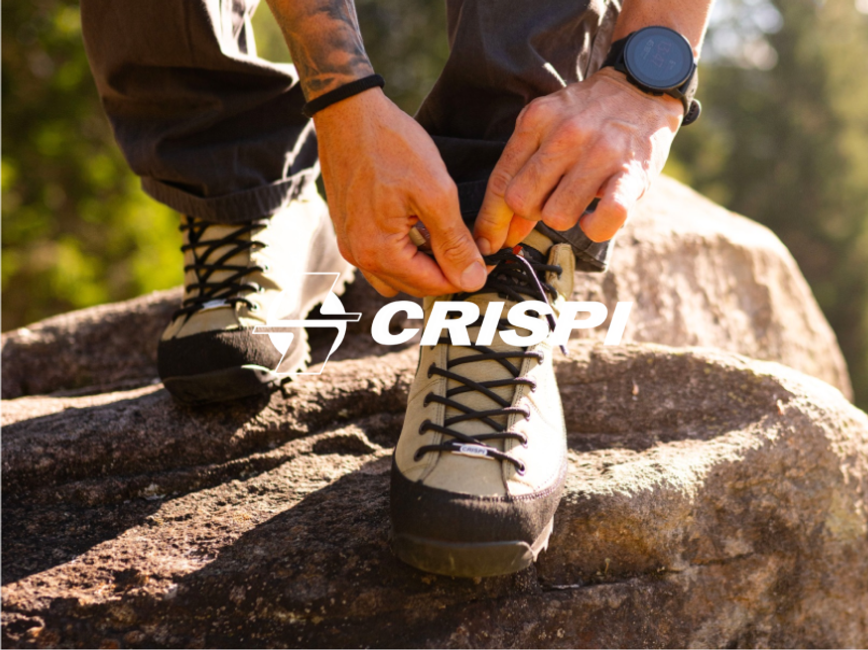 Crispi