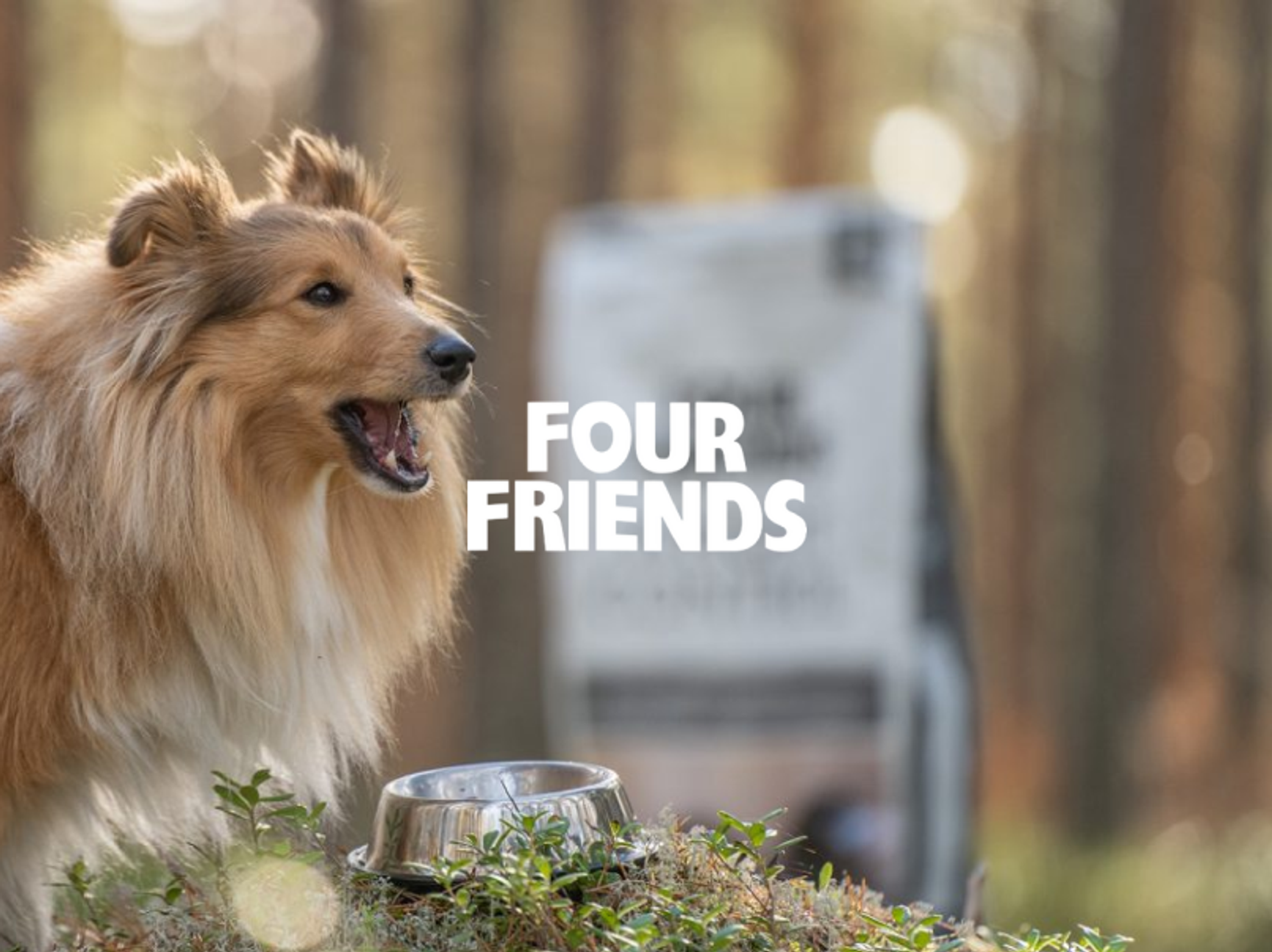Four Friends
