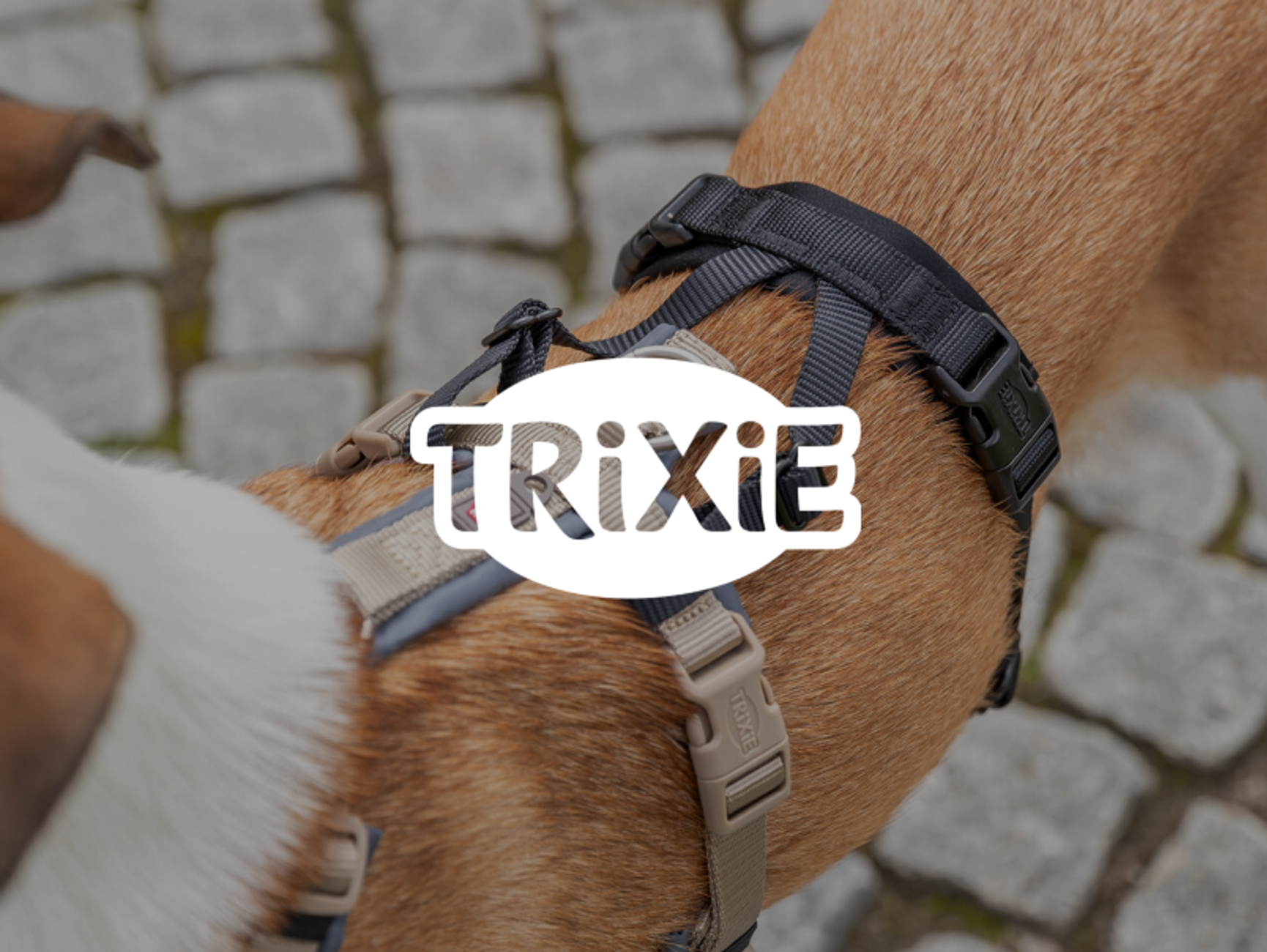 Trixie mobile hero