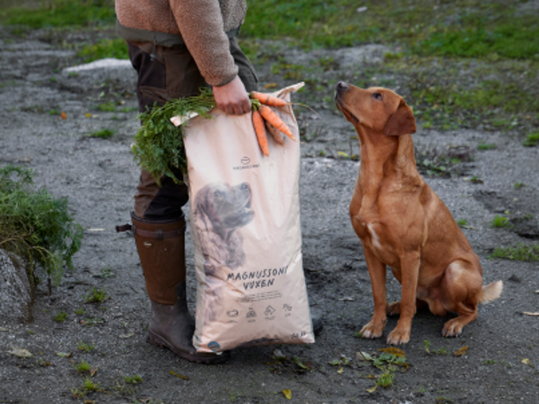 magnusson petfood