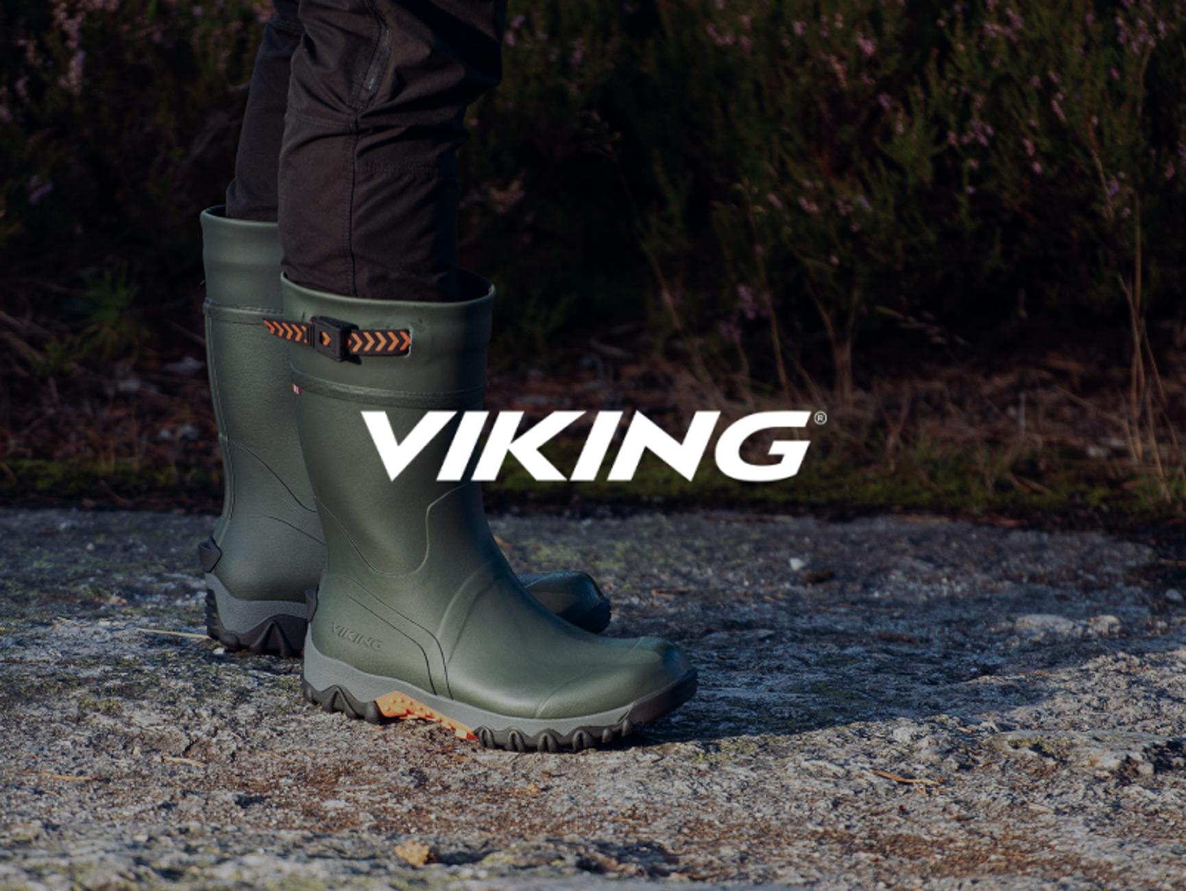 Viking