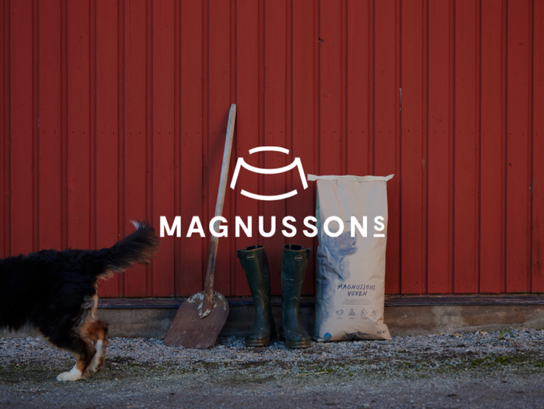 Magnussons