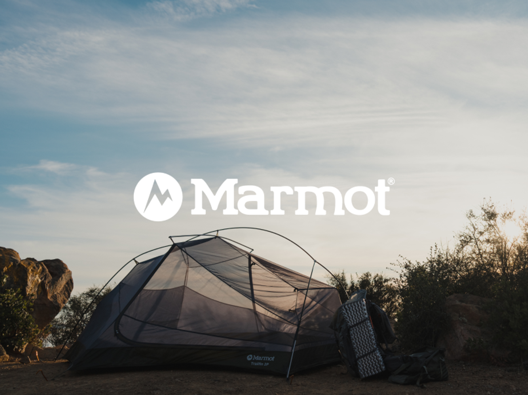 Marmot