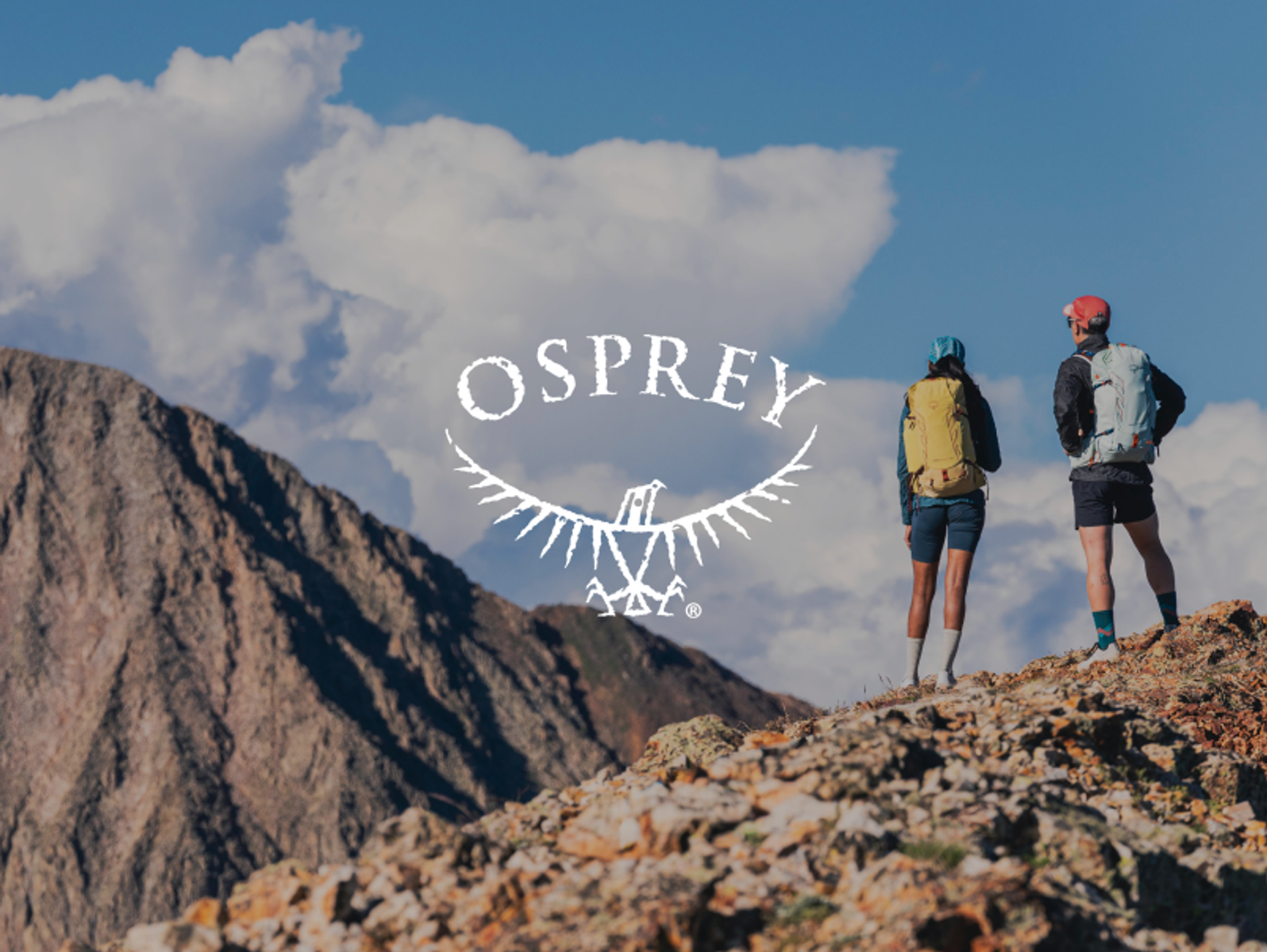 Osprey
