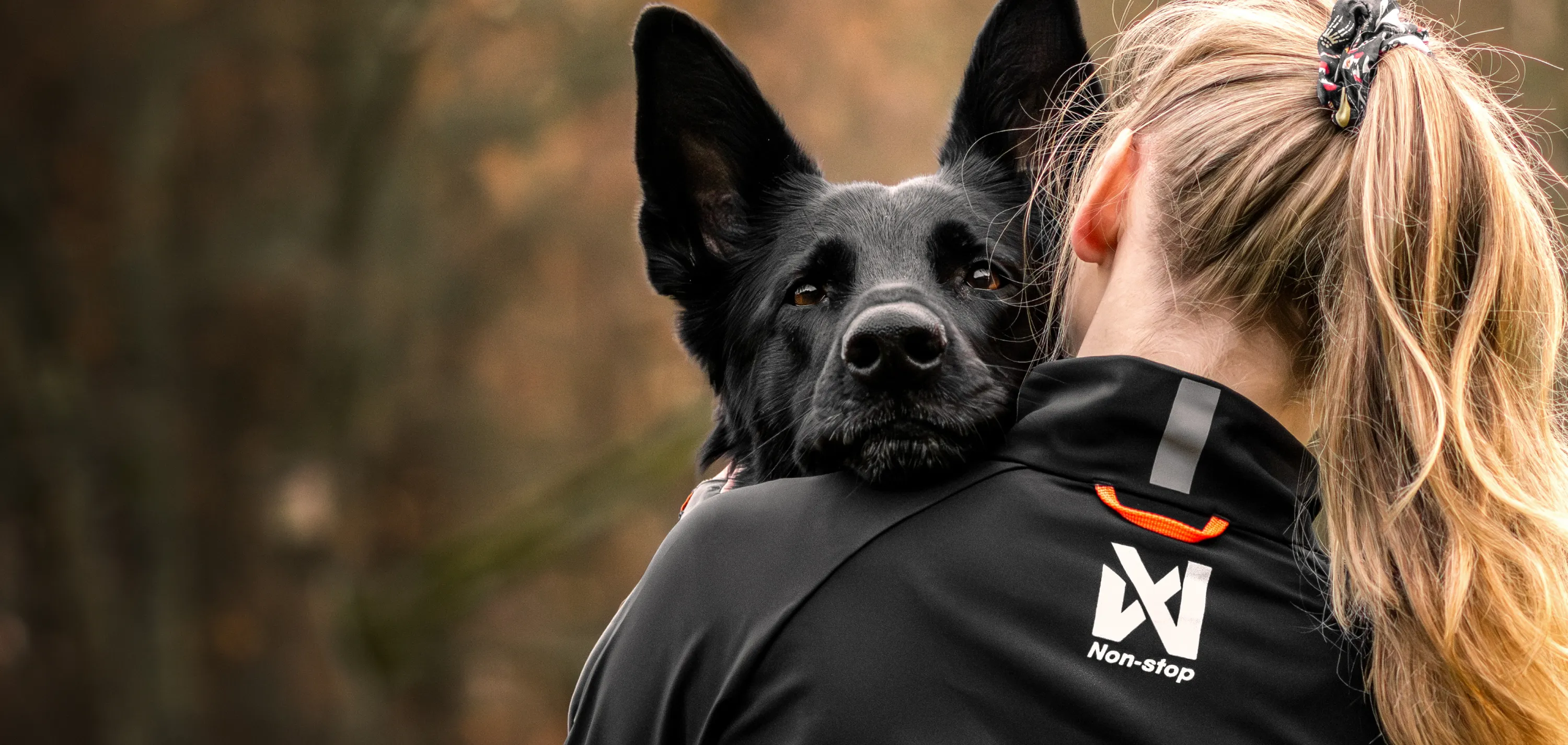 Alt til hunden