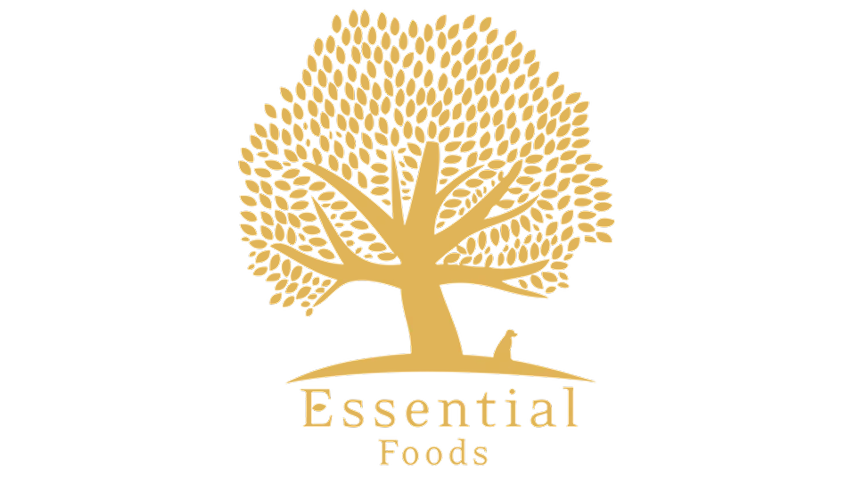 Essentail Foods