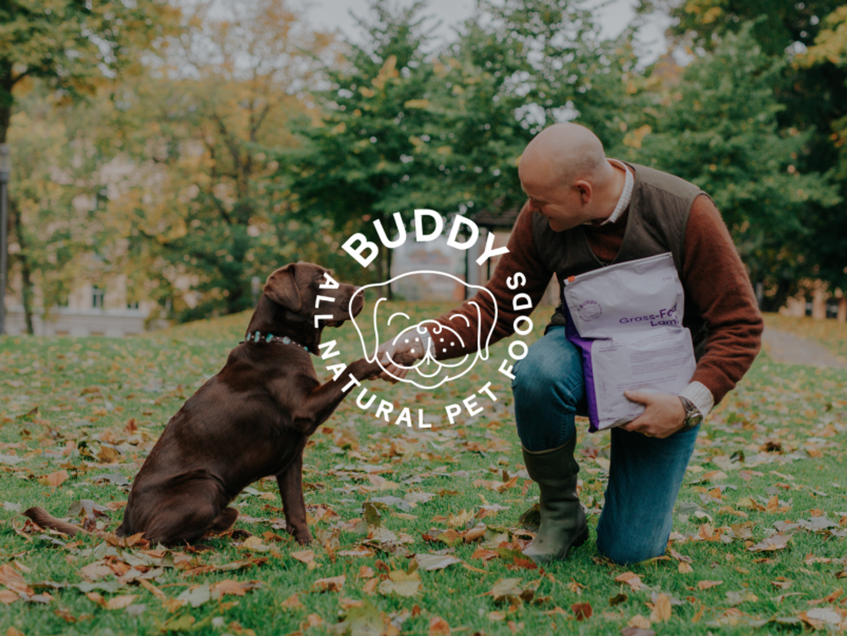 Buddy Mobile Hero