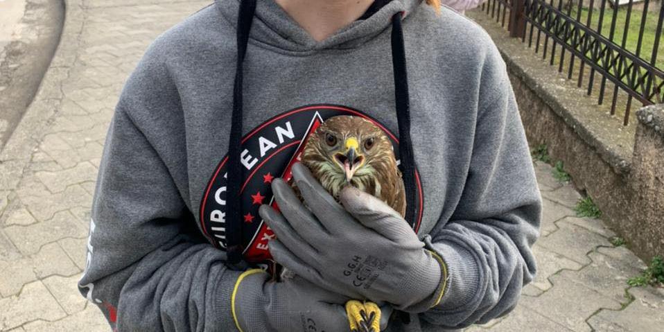 Protect the Wildlife| (Wildlife Recovery Center Divjake)