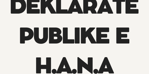 Public Statement from H.A.N.A: Meaningful Participation, Not Formality