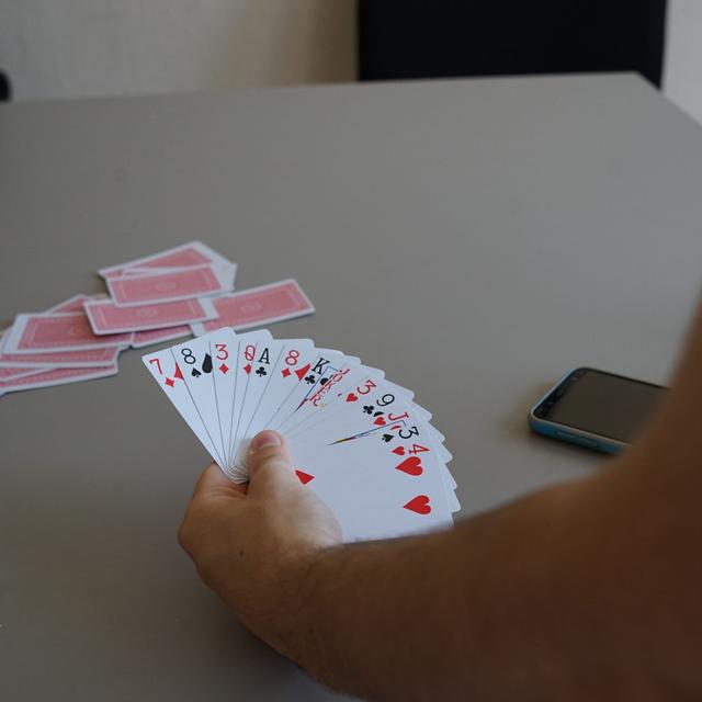 Summer activities @ H.A.N.A