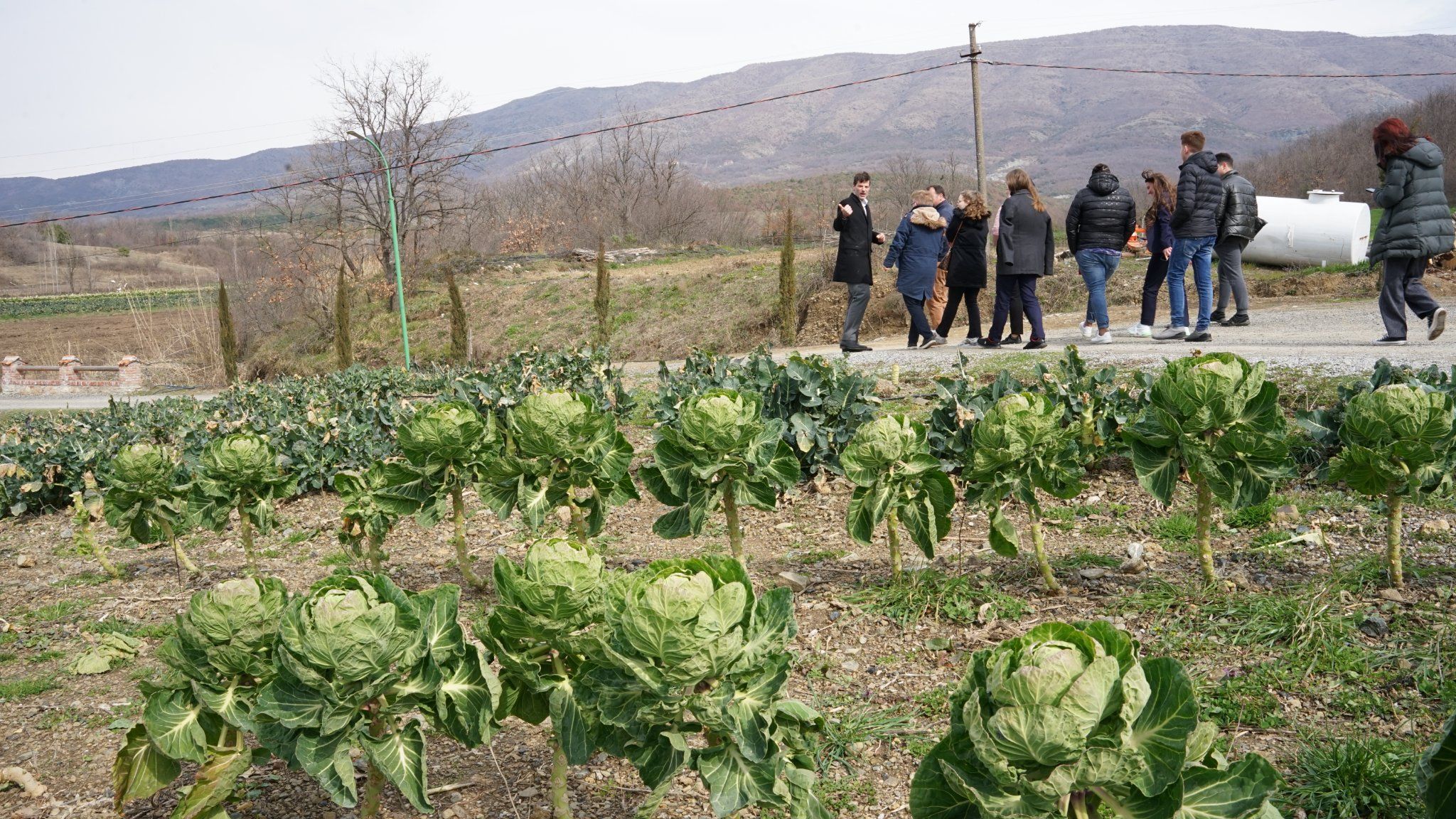 A visit to the largest agritourism in the country, Mrizi i Zanave| (Altin Prenga)