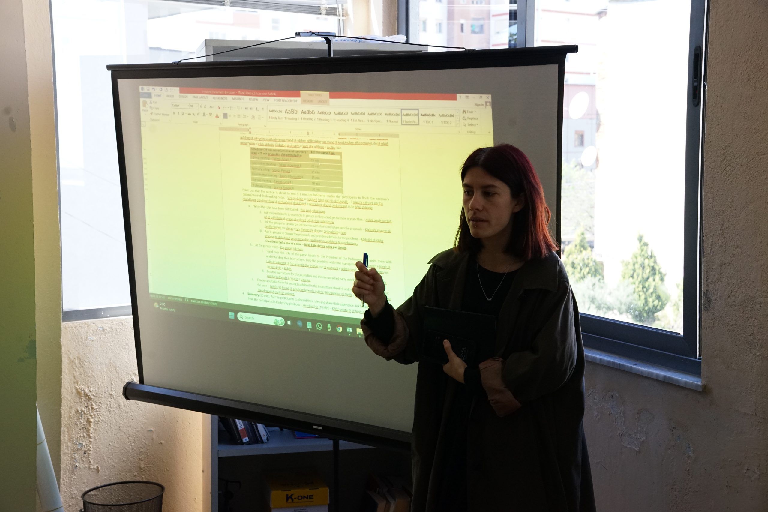 Simulation Game Preparatory Session – European Parliament – The Winter School “Integration in the EU and the Role of Youth in this Process” – 5th Edition