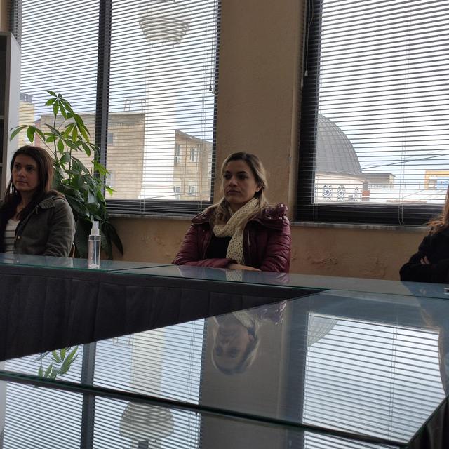 Lecture 6, Winter School “Introduction to Politics & European Integration” - Brain Drain, Causes, Facts, Realities, New Generations and Governance