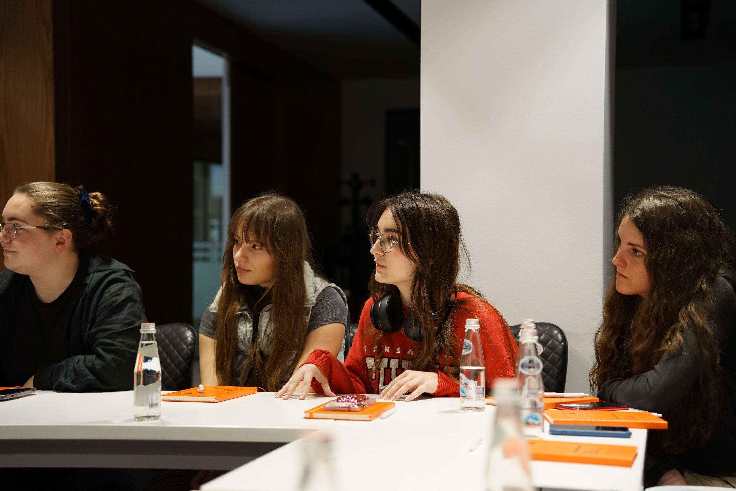 Youth of H.A.N.A and Arka (Shkoder) study visit with the EU Delegation
