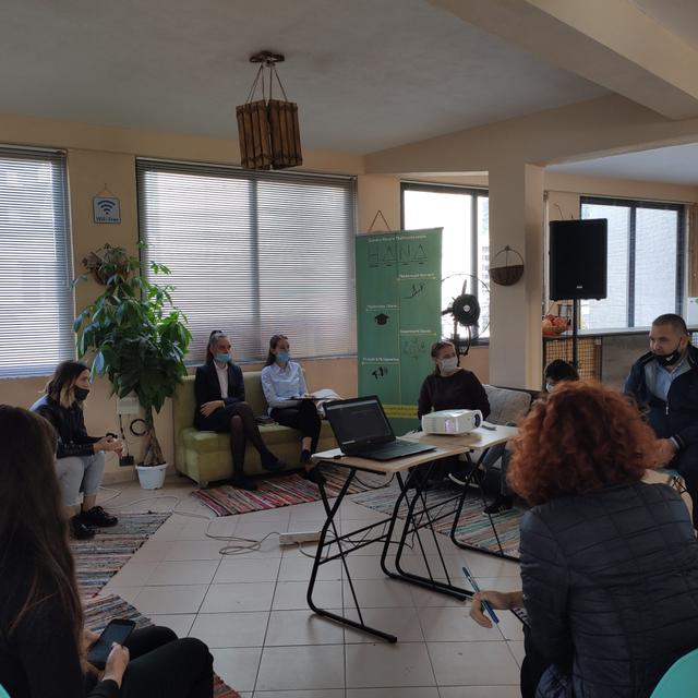 Analysis of the performance plan of the Municipality of Lezha