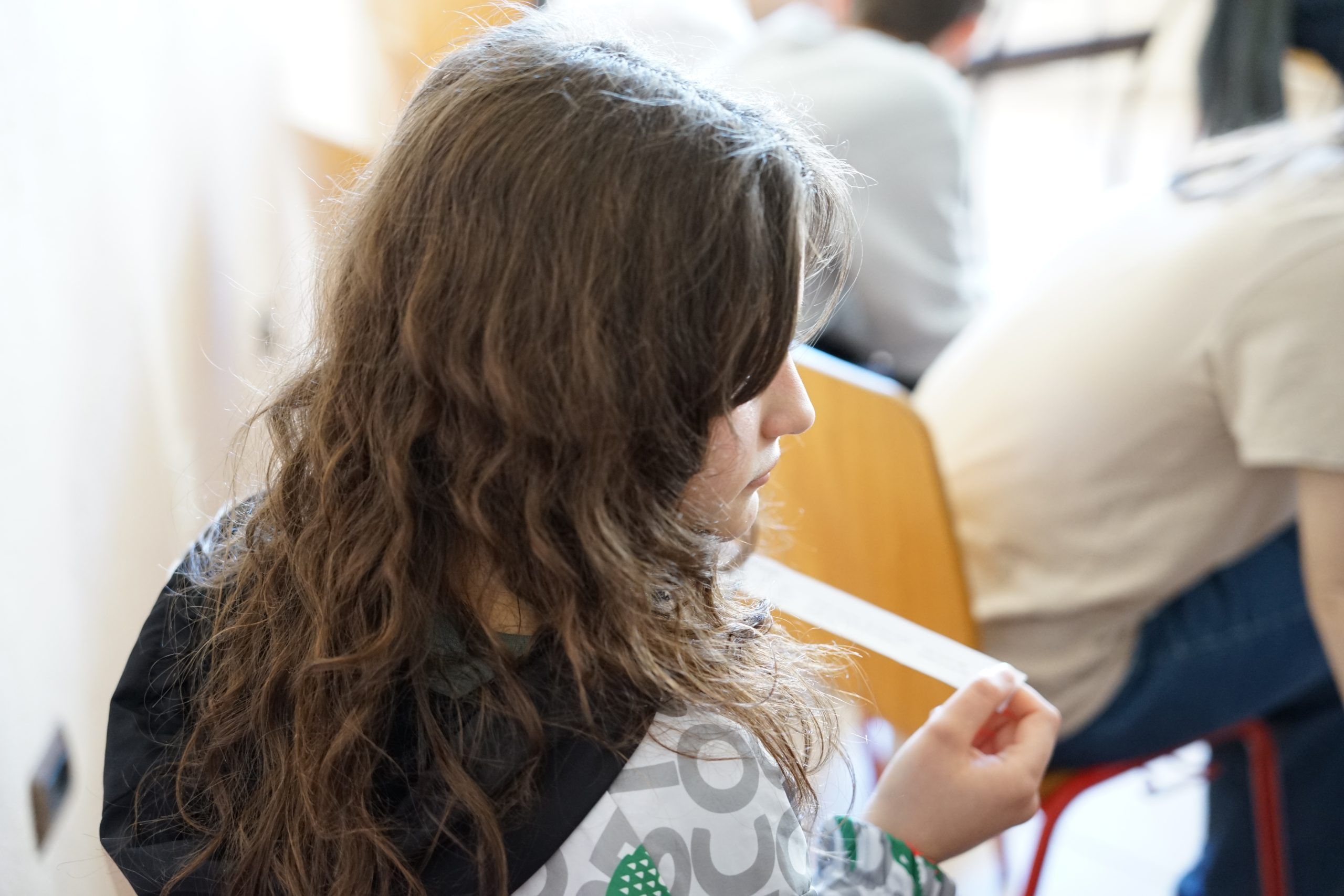 Simulation Game Preparatory Session – European Parliament – The Winter School “Integration in the EU and the Role of Youth in this Process” – 5th Edition