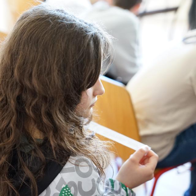 Simulation Game Preparatory Session – European Parliament – The Winter School “Integration in the EU and the Role of Youth in this Process” – 5th Edition