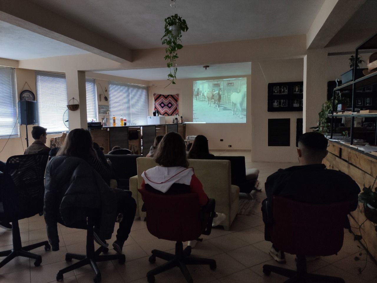 Movie afternoon-"The Death of the Horse"