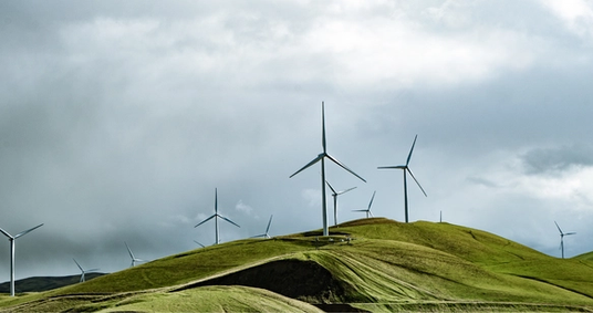 Hacia la captura del carbono