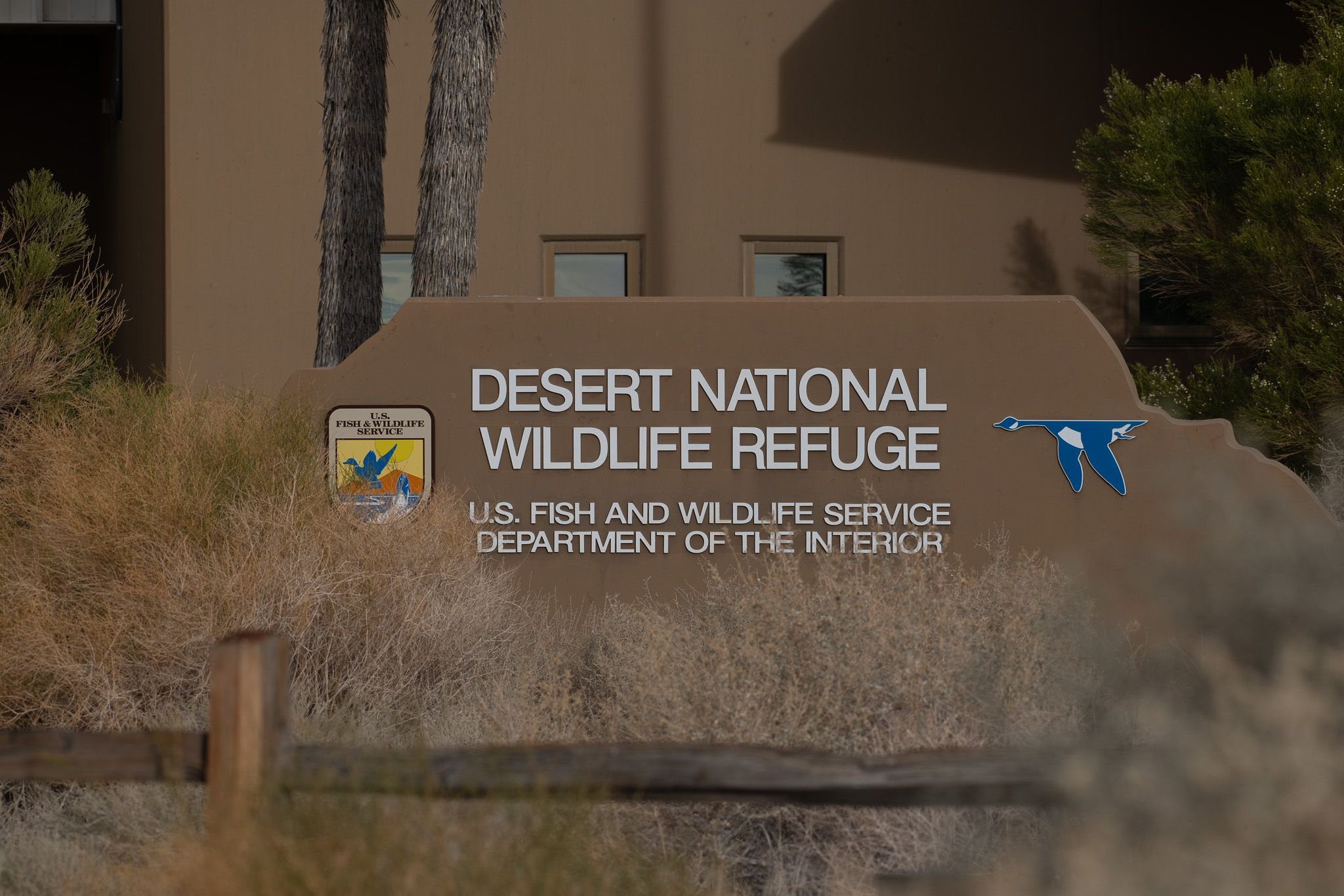 Desert Wildlife Survey