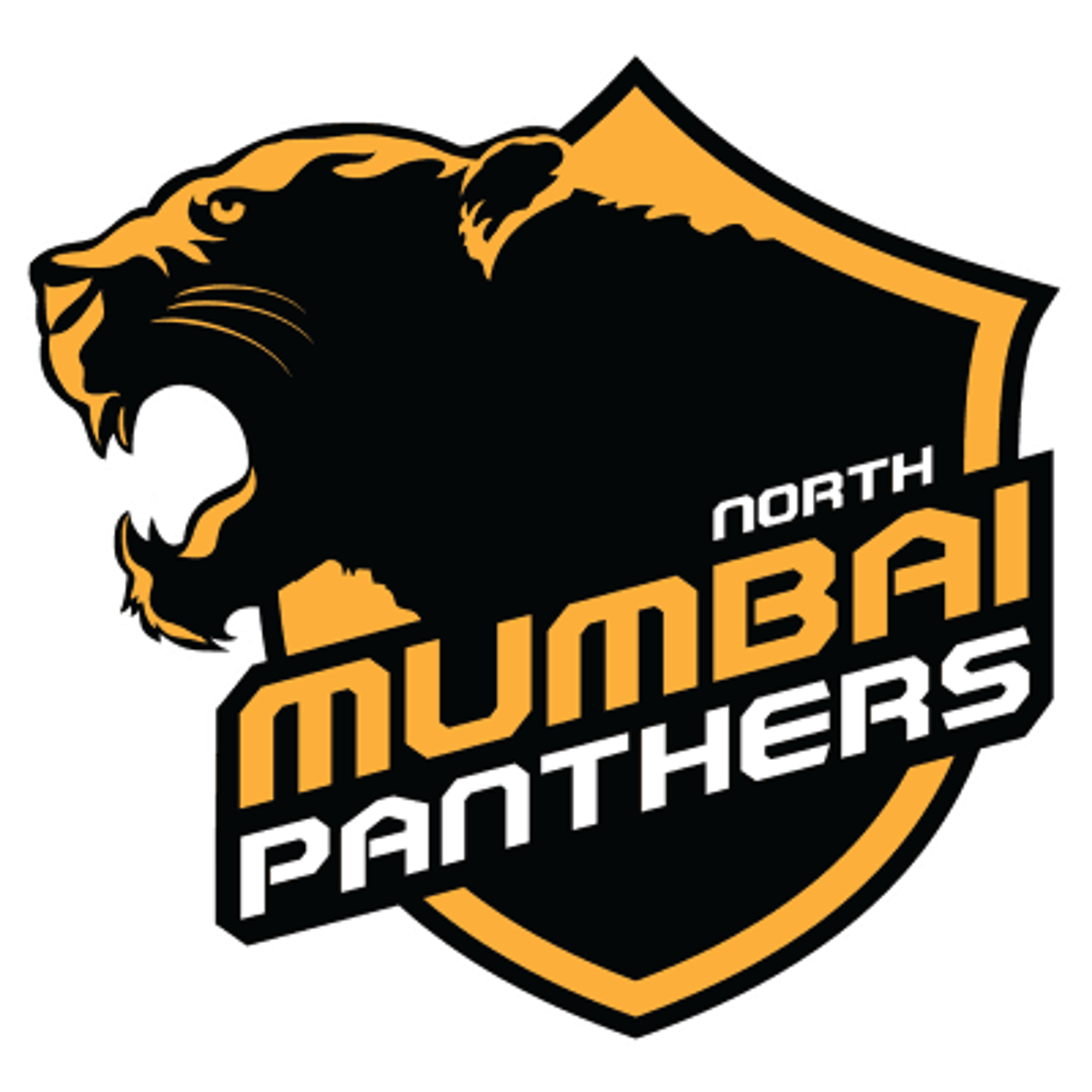 North Mumbai Panthers