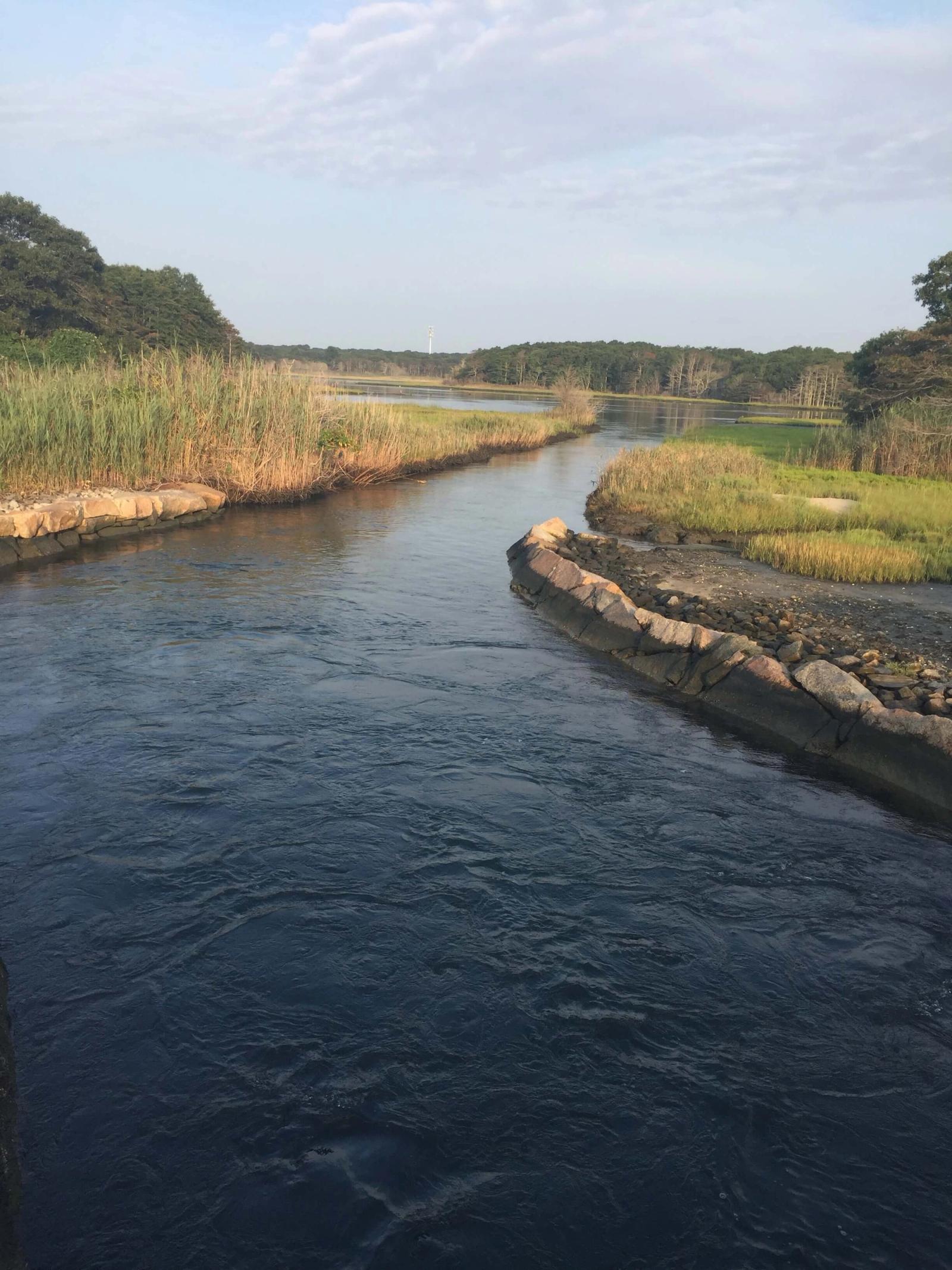 Nature photos of skies and waters