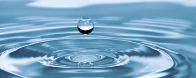 Embodiment and Freedom