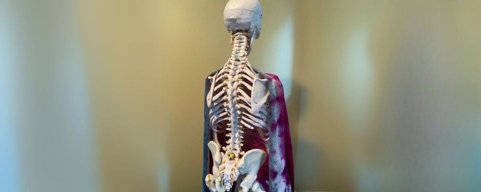 Unser schwimmfähiges Rückgrat